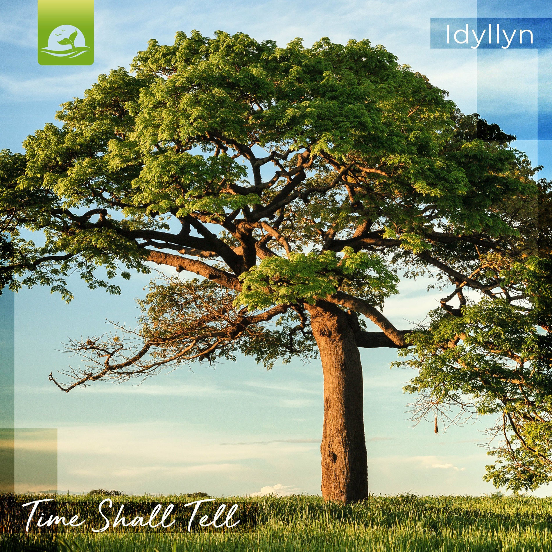 Album cover of Time Shall Tell