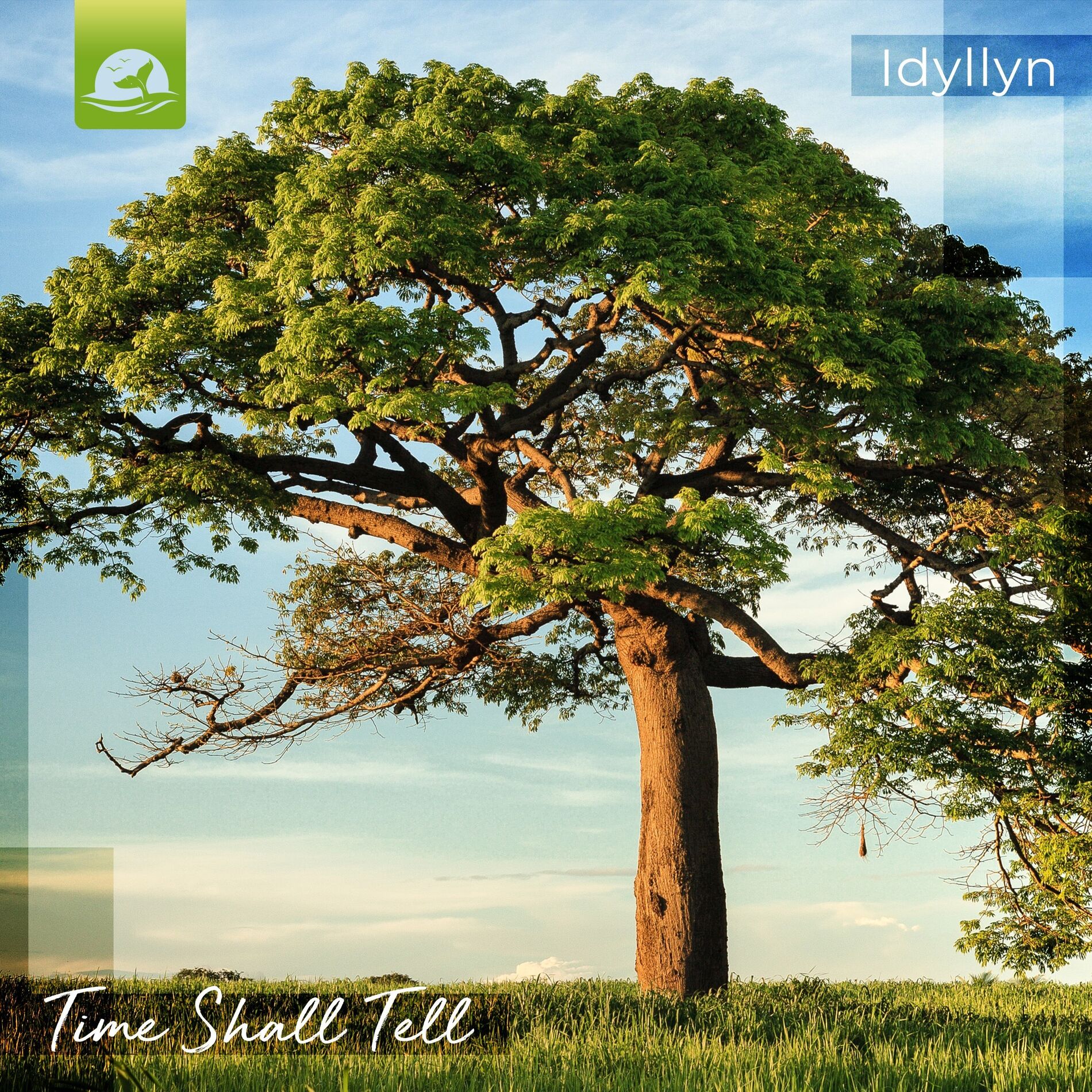Album cover of Time Shall Tell