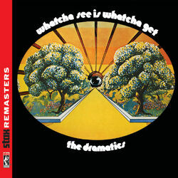 Cover of Whatcha See Is Whatcha Get [Stax Remasters]