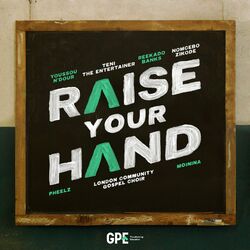 Cover of Raise Your Hand