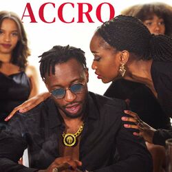 Cover of Accro