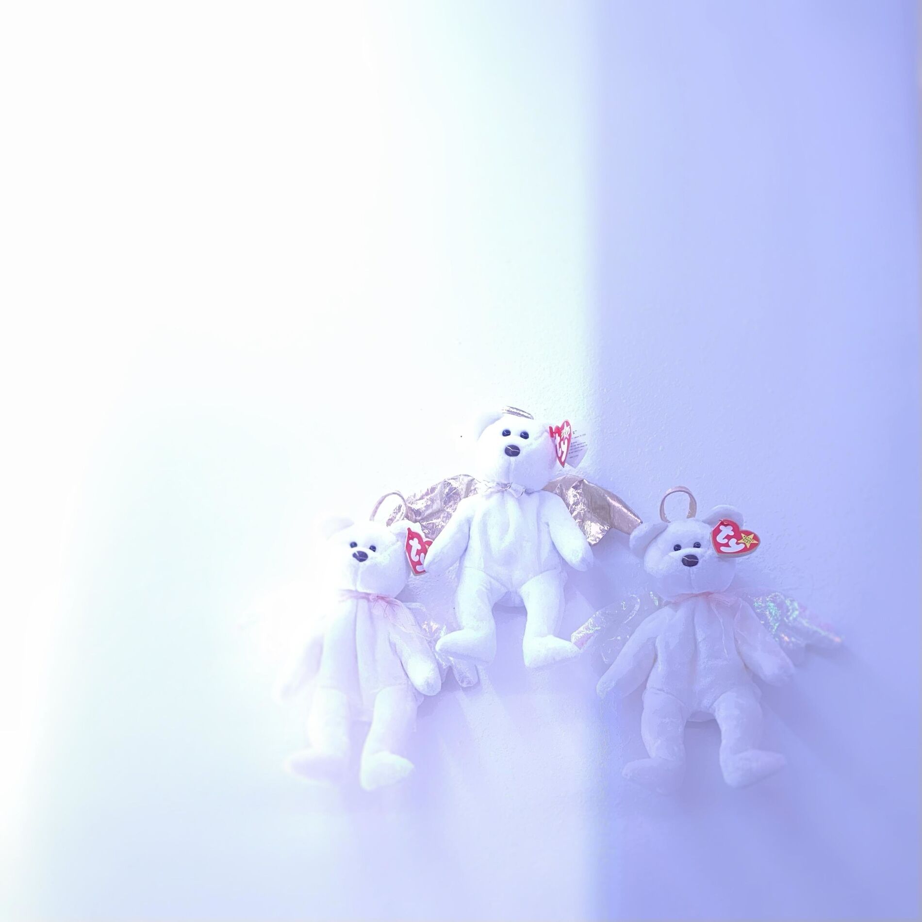Album cover of pmn1