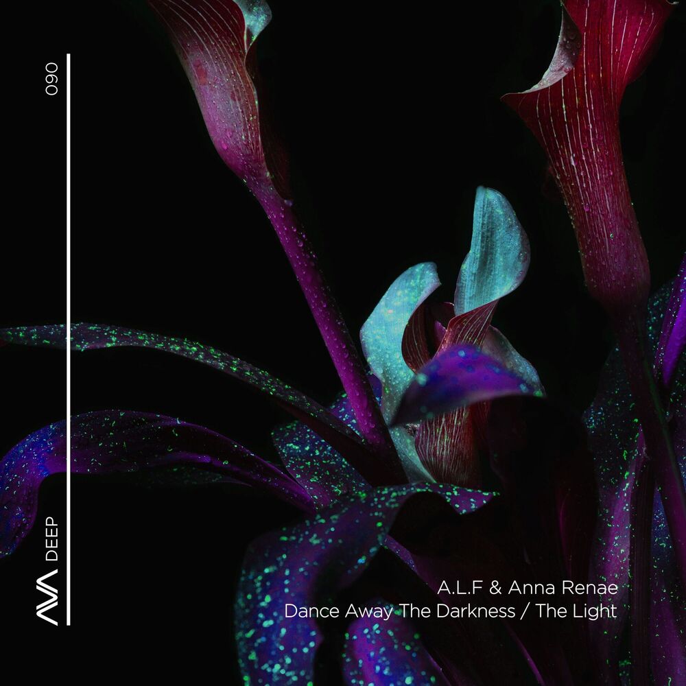 Picture of Dance Away the Darkness + The Light