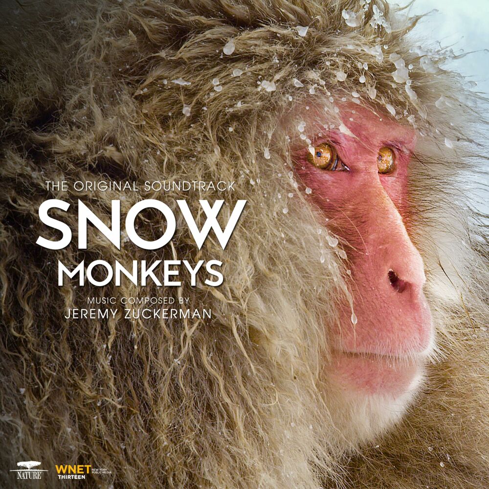 Picture of Snow Monkeys (From PBS's "Nature") [Original Television Soundtrack]