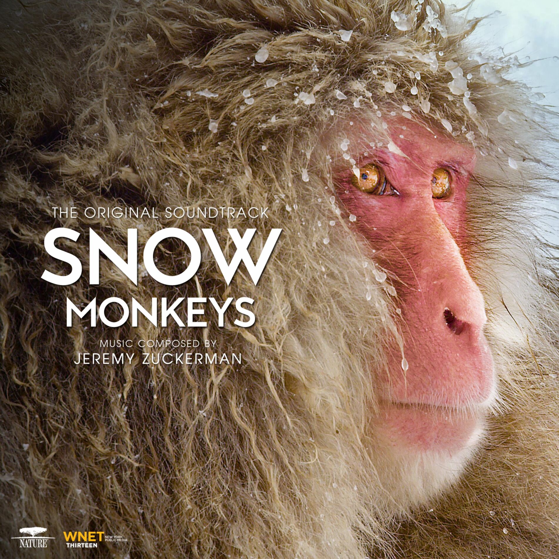 Album cover of Snow Monkeys (From PBS's 