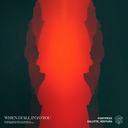 Cover of When I Fall Into You