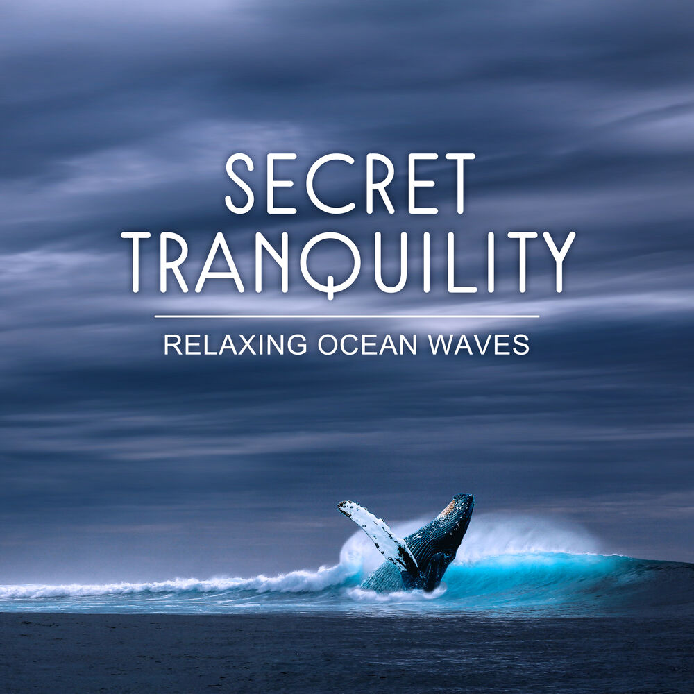 Picture of Secret Tranquility: Relaxing Ocean Waves, Seagulls, Whale and Ambient Music for Well (Being with Nature Sounds)