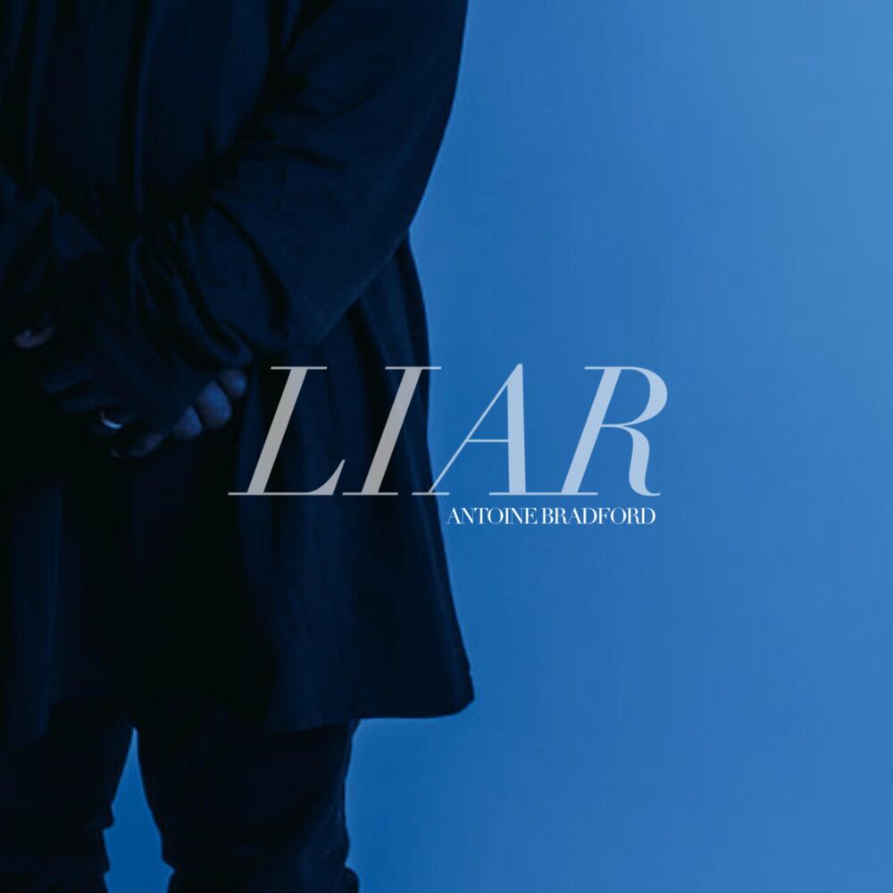 Picture of Liar