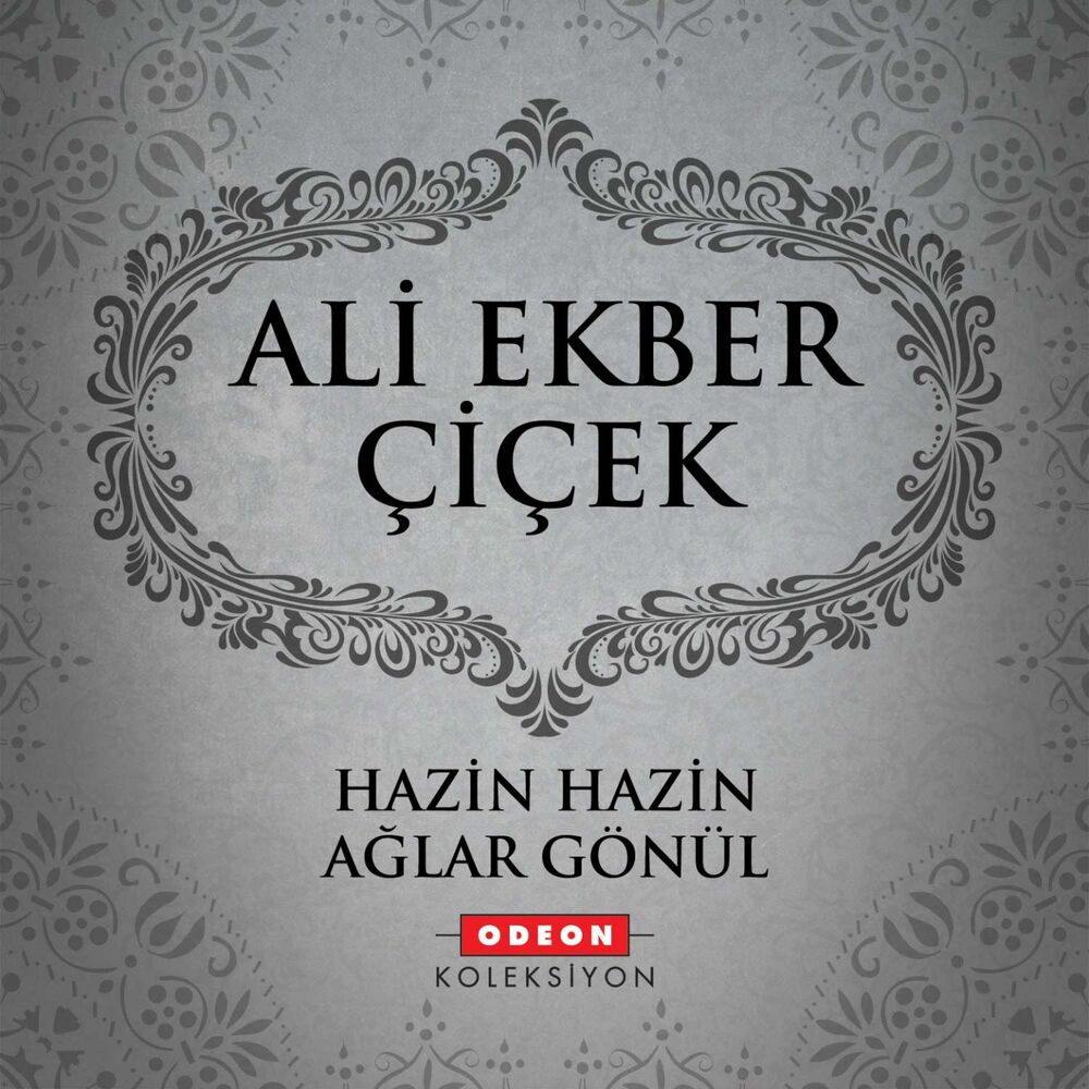 Picture of Hazin Hazin Ağlar Gönül