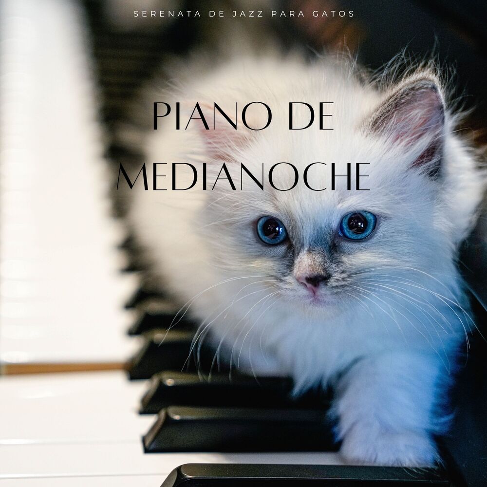 Picture of Piano De Medianoche: Serenata De Jazz Para Gatos