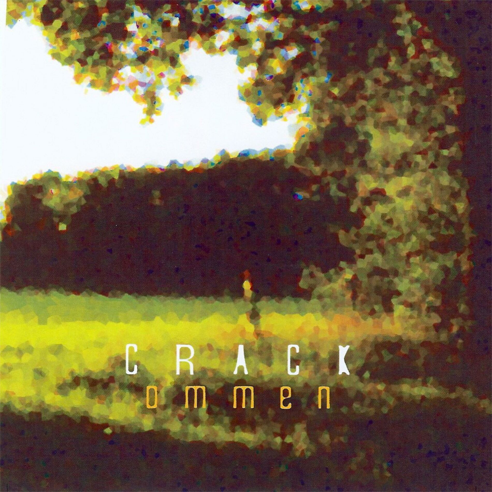 Album cover of Ommen