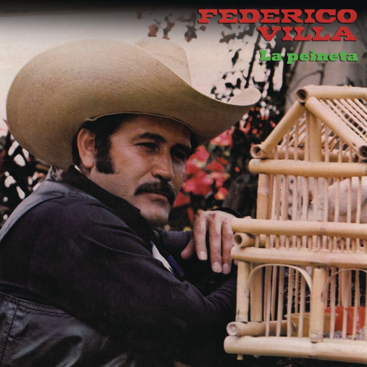 Album cover of La Peineta