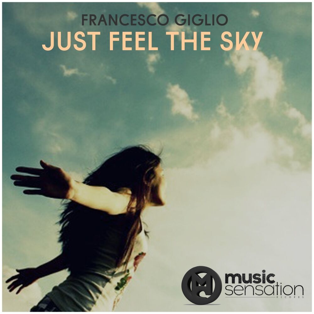 Picture of Just Feel The Sky