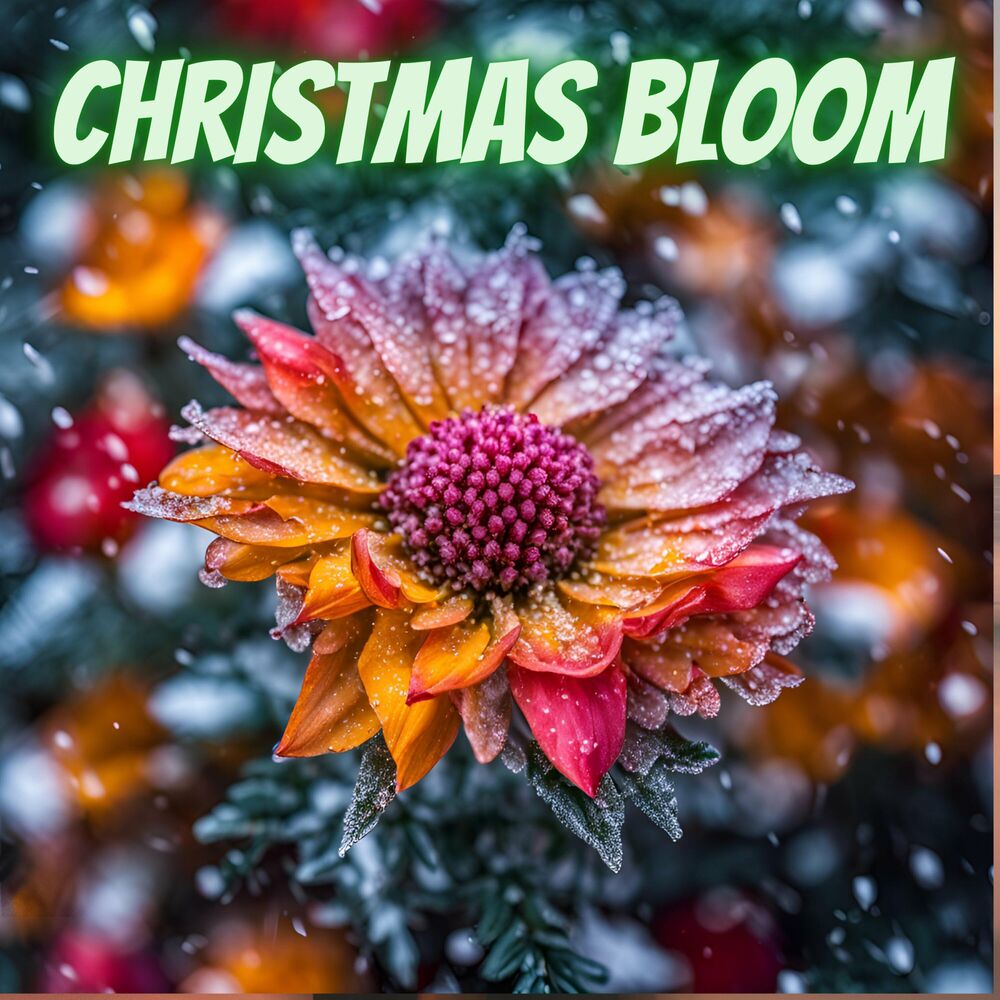 Picture of Christmas Bloom