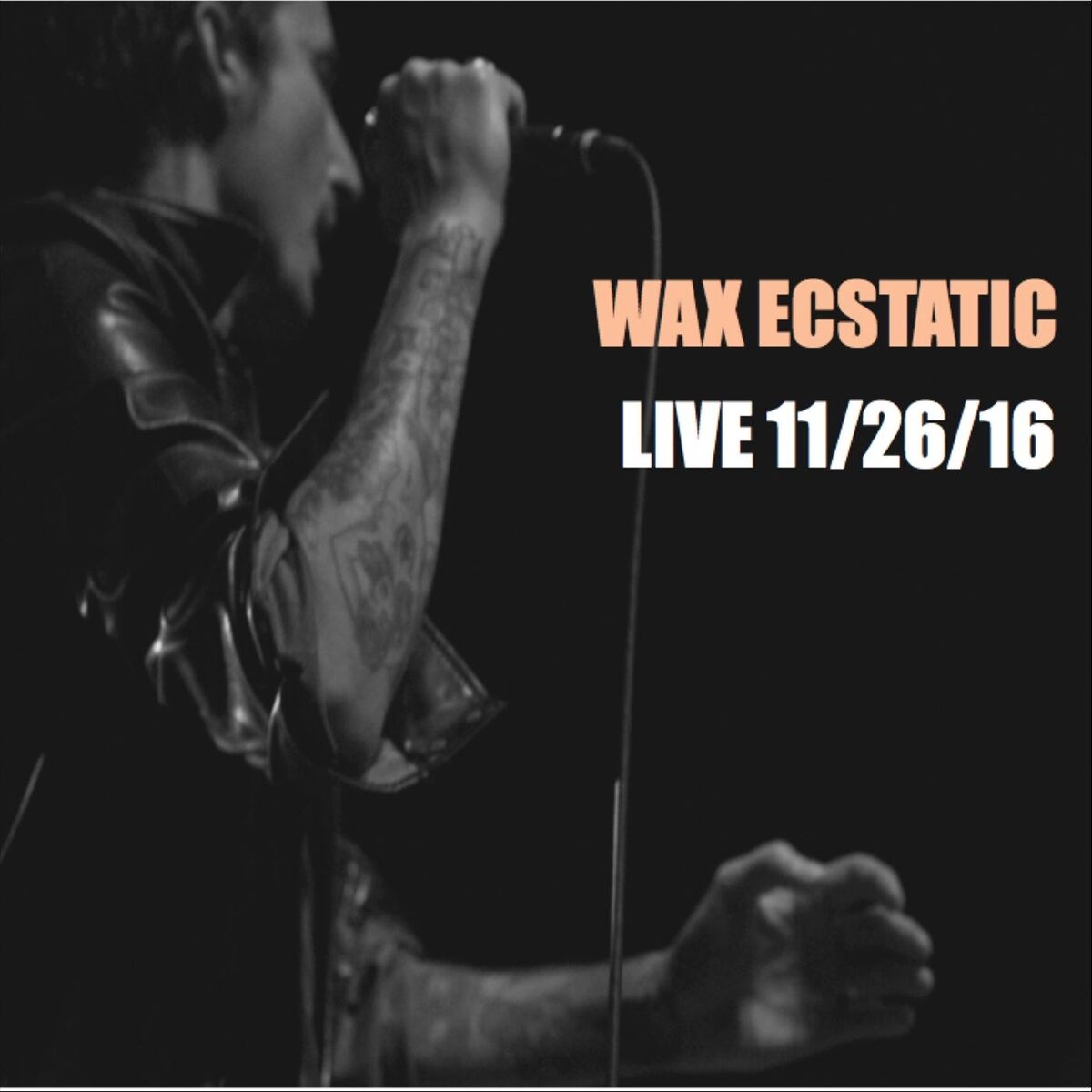Album cover of Wax Ecstatic Live