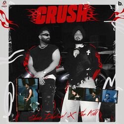 Cover of Crush