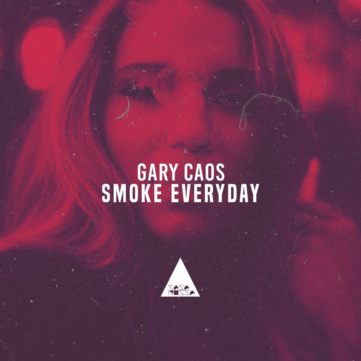 Album cover of Smoke Everyday