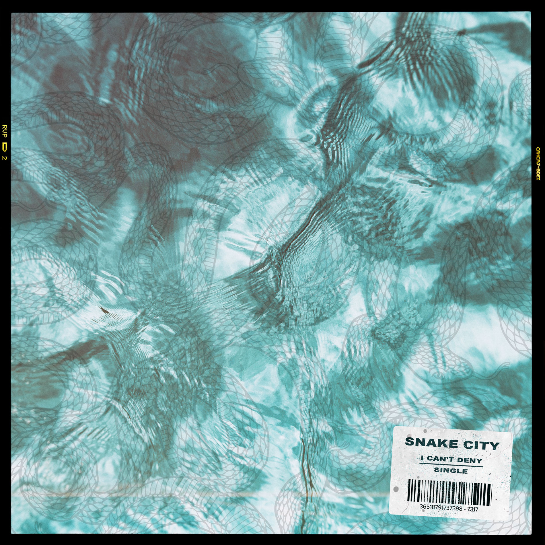 Album cover of I Can't Deny