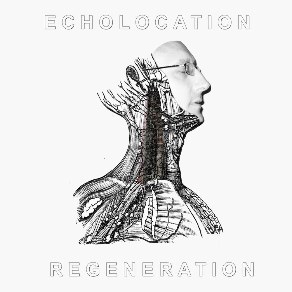 Picture of Regeneration
