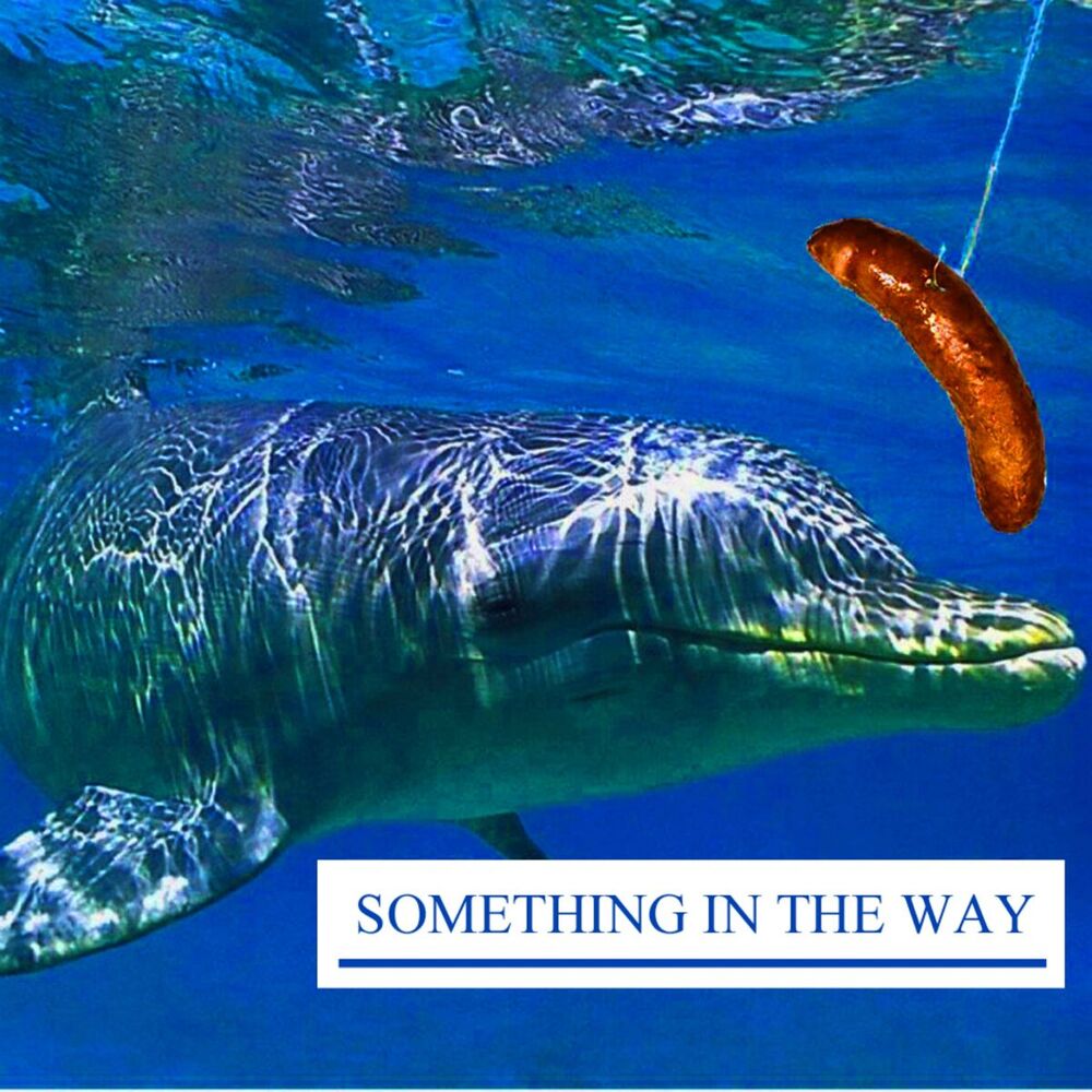 Picture of Something in the Way