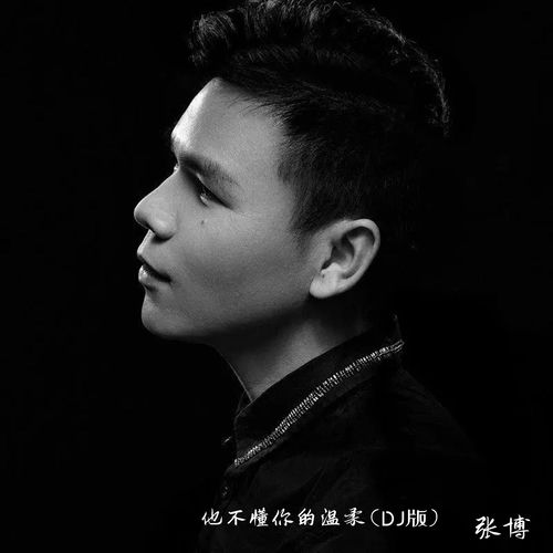 他不懂你的温柔 (DJ版)