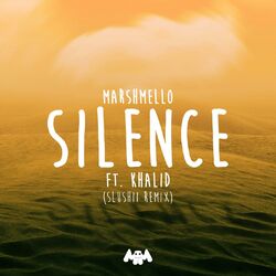 Cover of Silence (Slushii Remix)