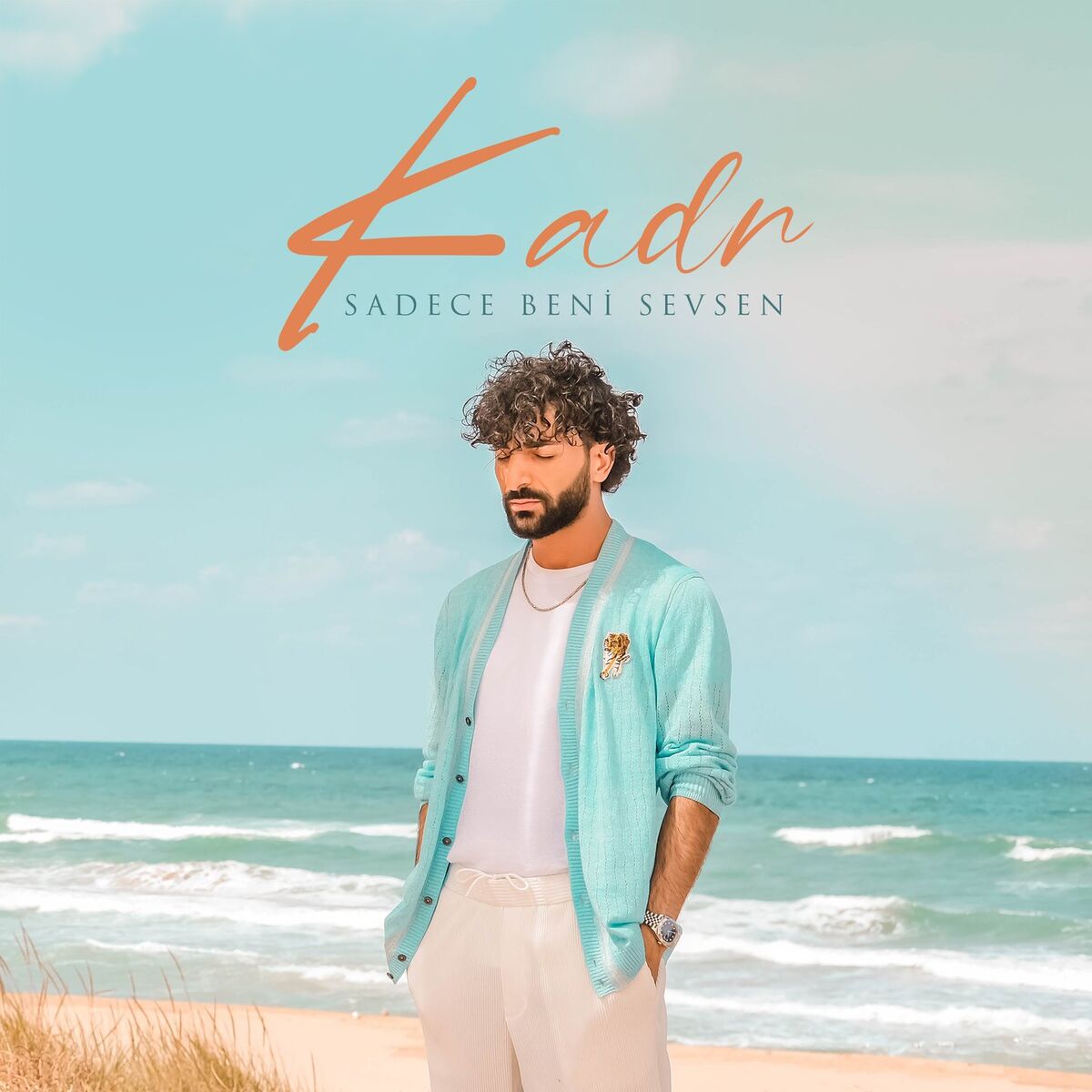 Album cover of Sadece Beni Sevsen