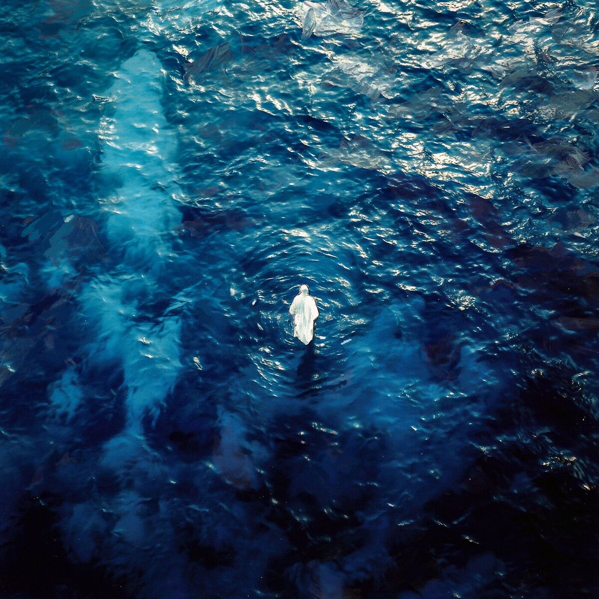 Album cover of SURF