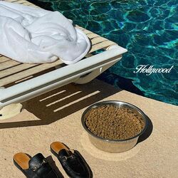 Cover of HOLLYWOOD