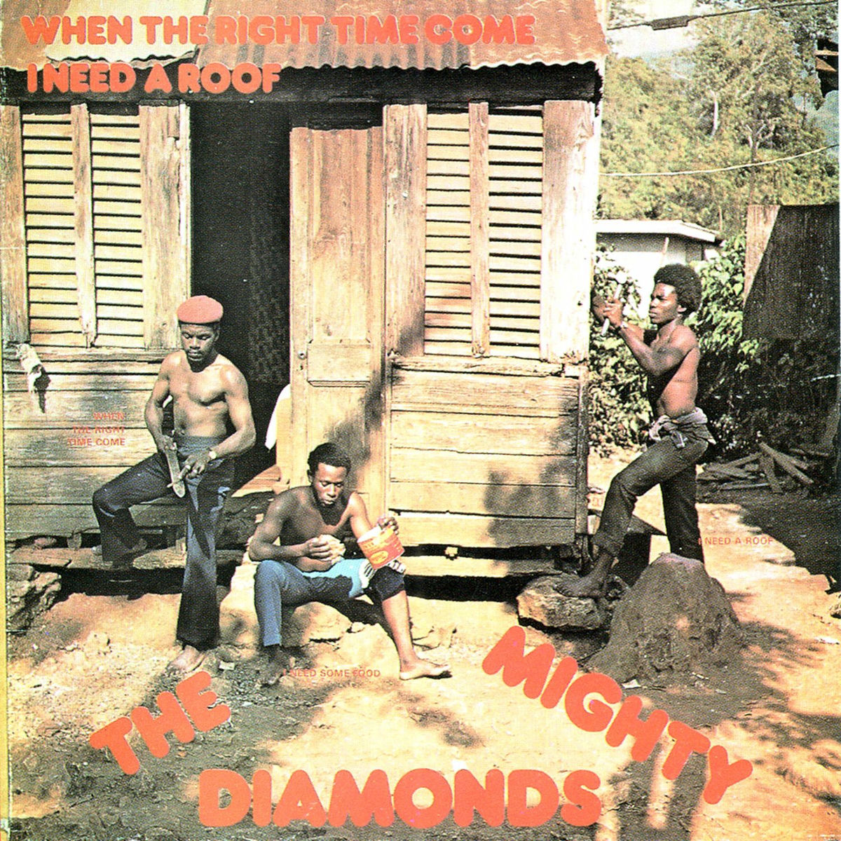 Album cover of Go Seek Your Rights
