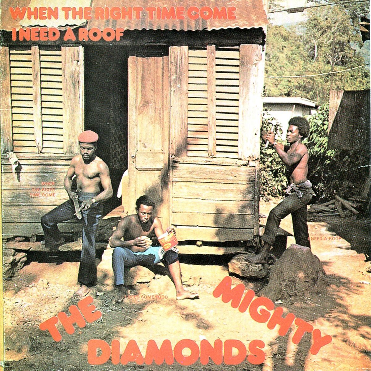 Album cover of I Need a Roof