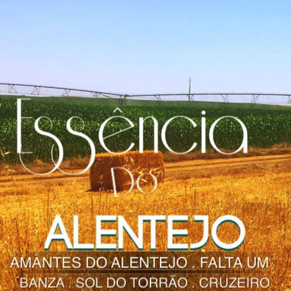 Album cover of Essência do Alentejo