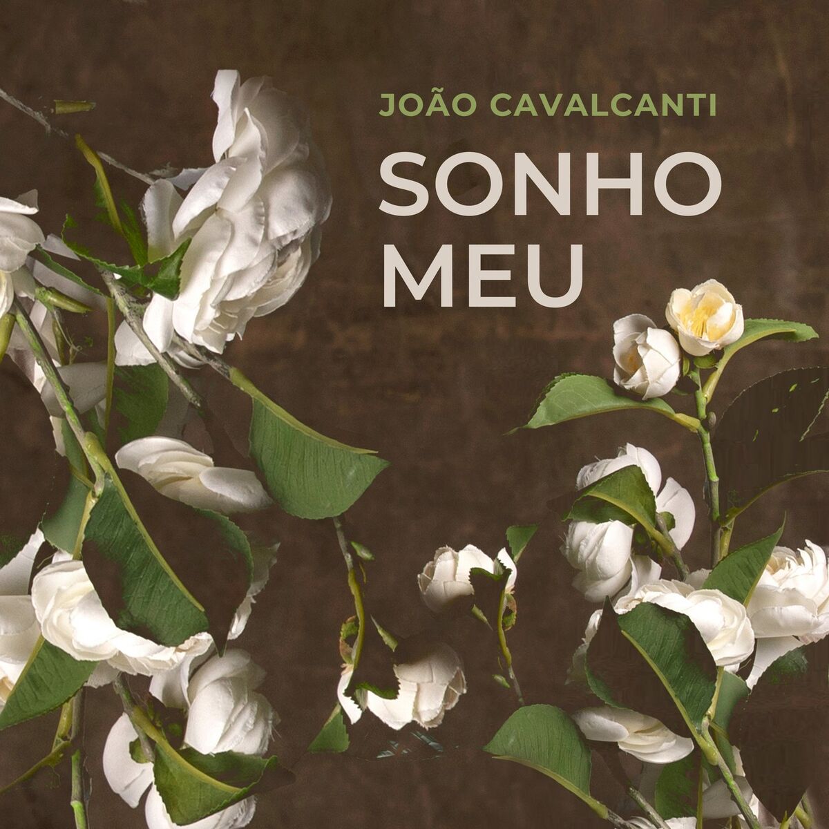 Album cover of Sonho Meu