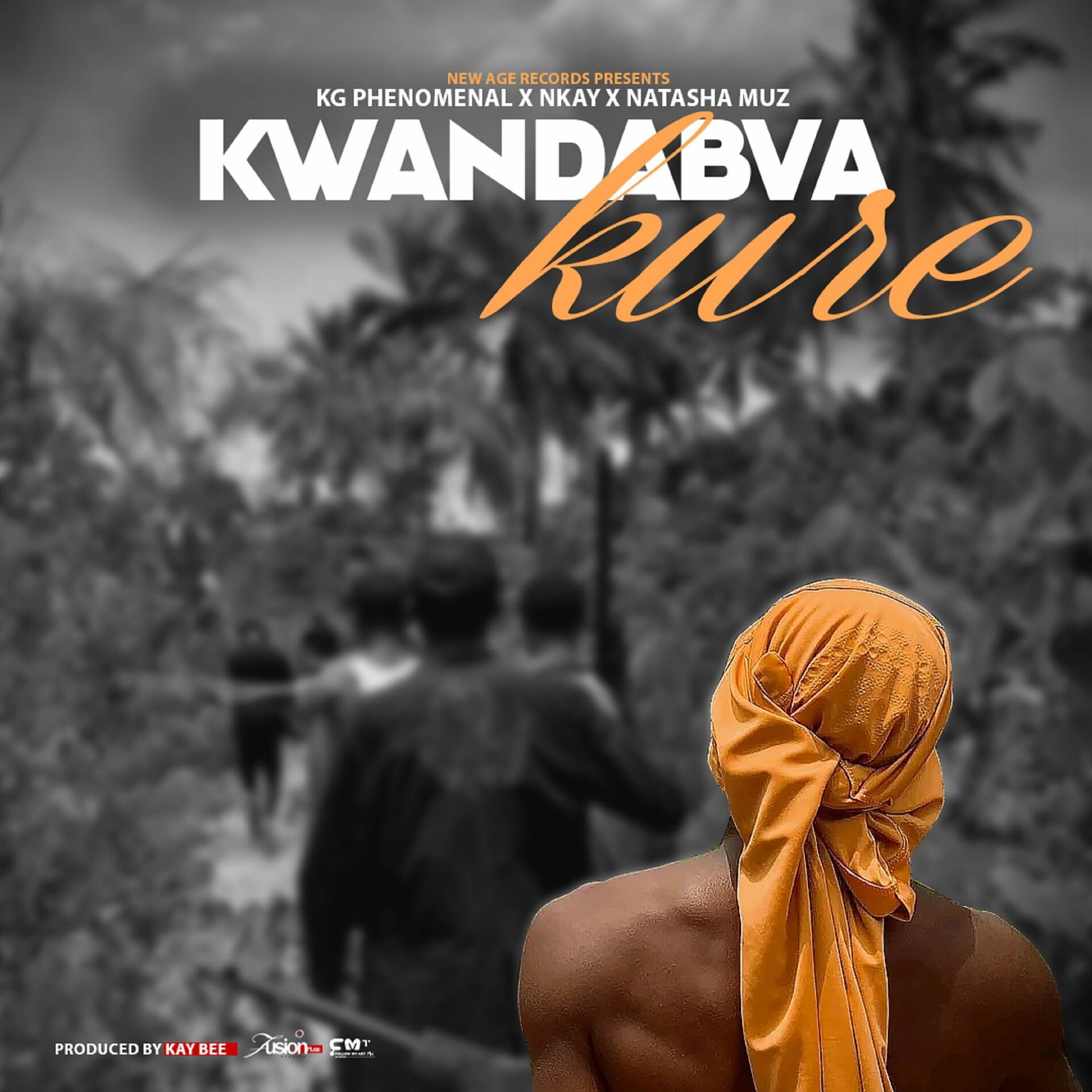 Album cover of Kwandabva Kure