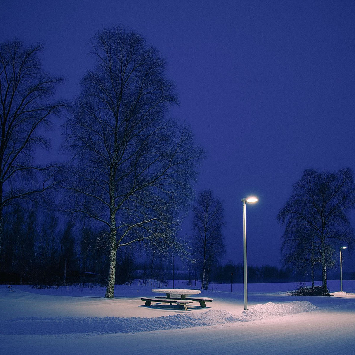 Album cover of before it's gone