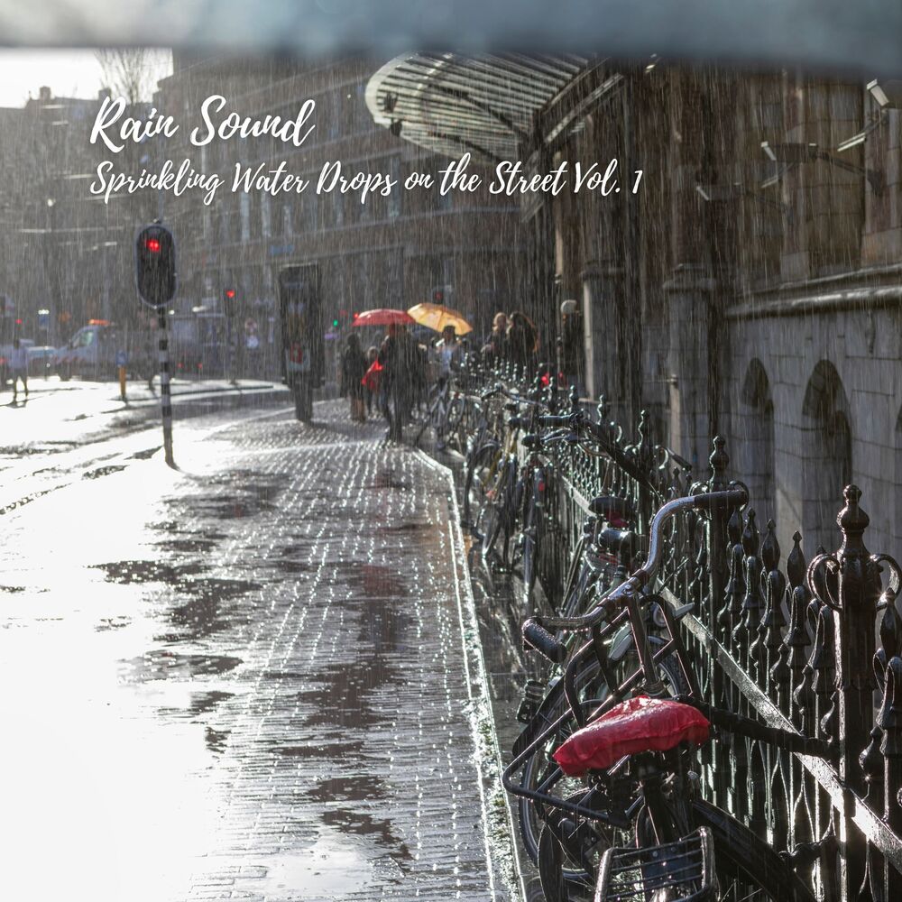 Picture of Rain Sound: Sprinkling Water Drops on the Street Vol. 1
