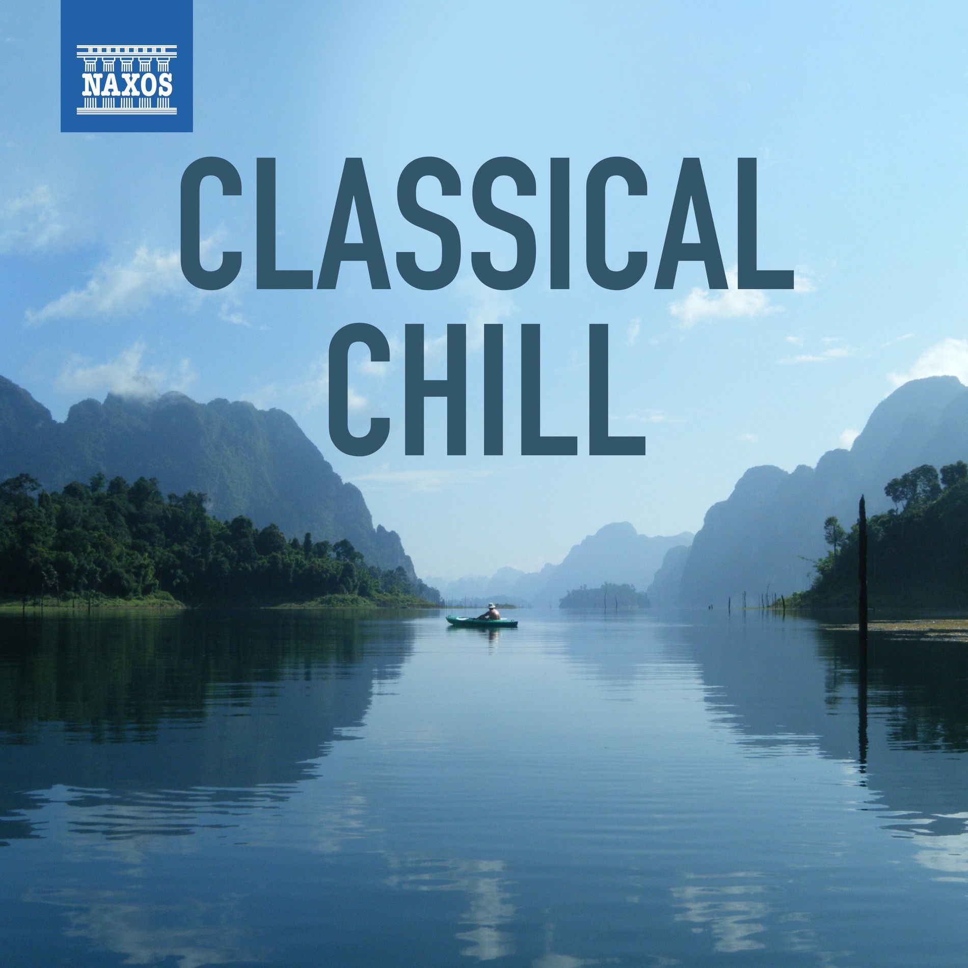 Album cover of Shenandoah (Arr. C. McTee for 2 Flutes & Orchestra)