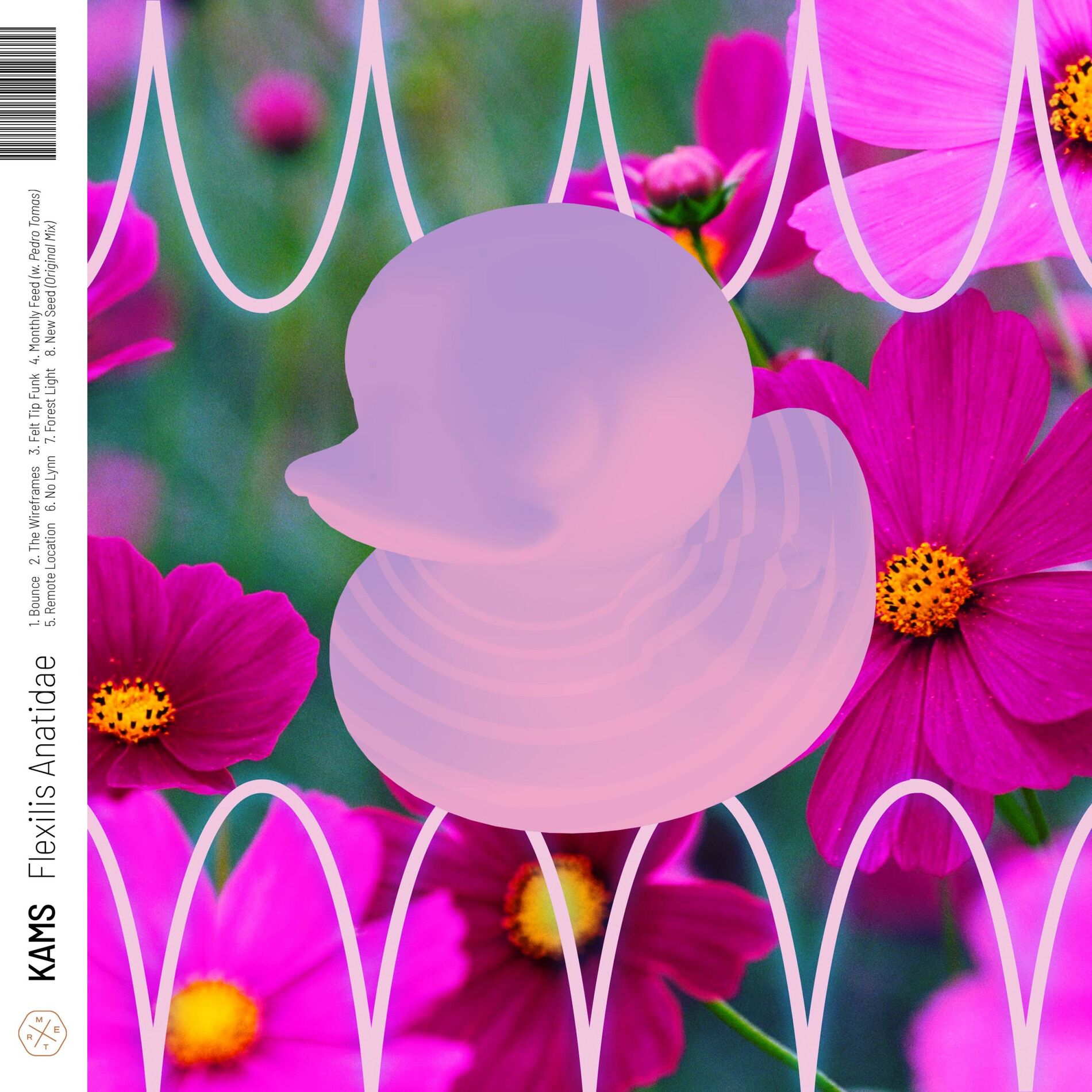 Album cover of Flexilis Anatidae