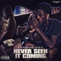 Cover of Never Seen It Coming