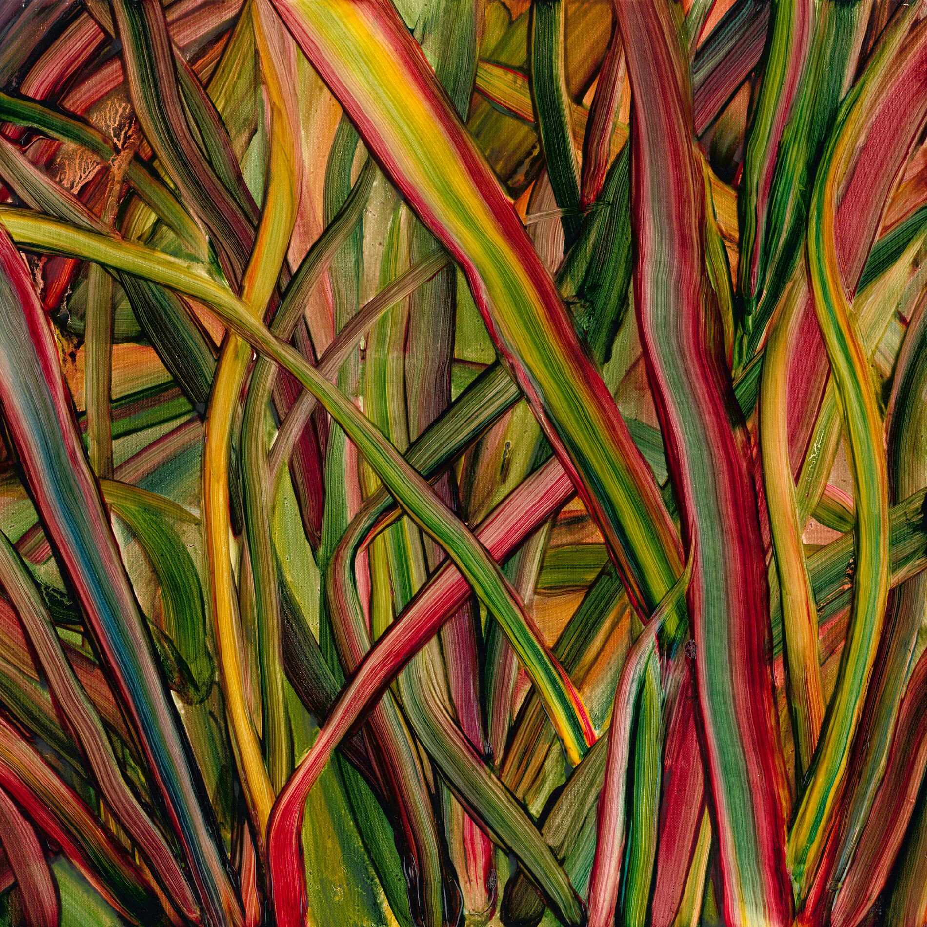 Album cover of Where Wildness Grows