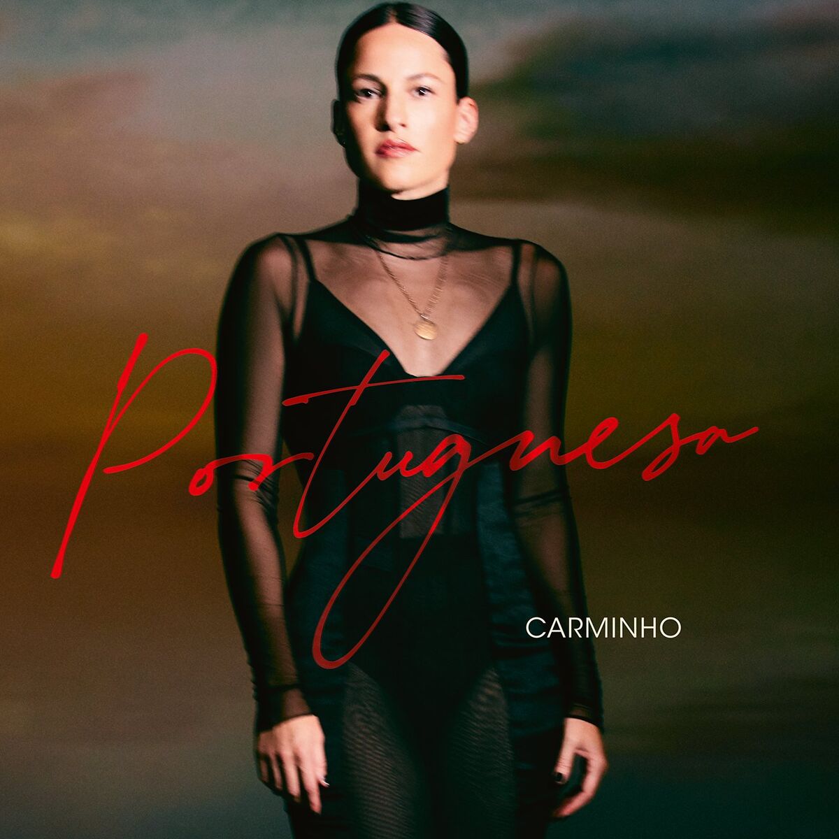 Album cover of O quarto (fado Pagem)