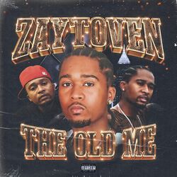 Cover of THE OLD ME
