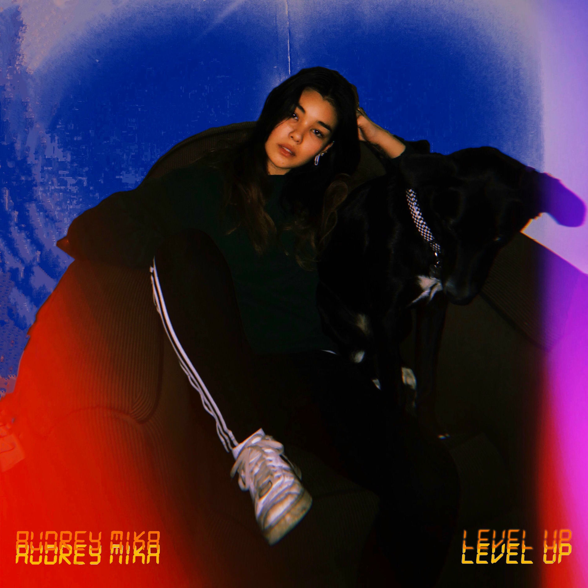 Album cover of Level Up