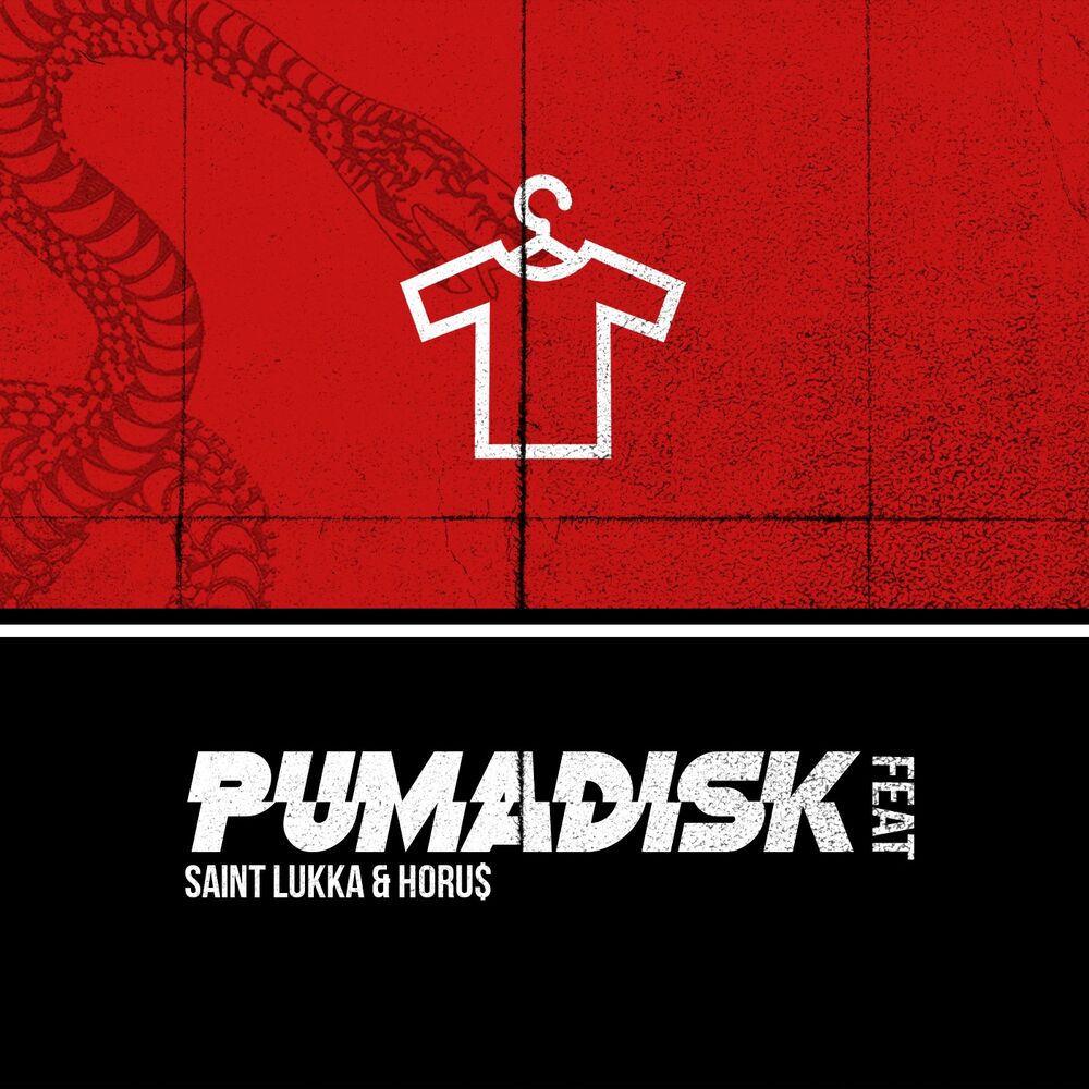 Picture of Puma Disk