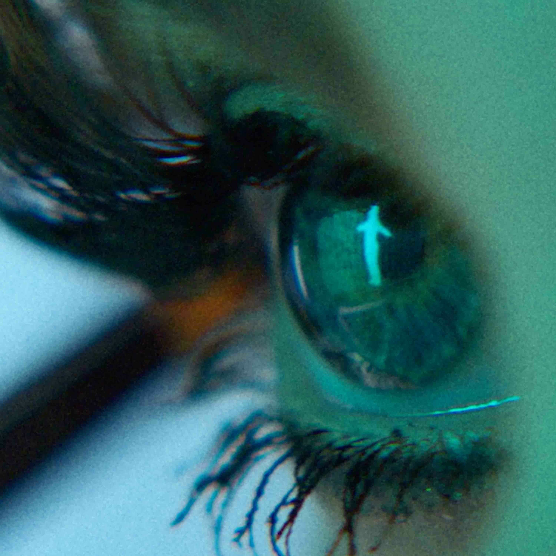 Album cover of Vis Vien