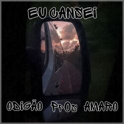 Cover of Eu Cansei