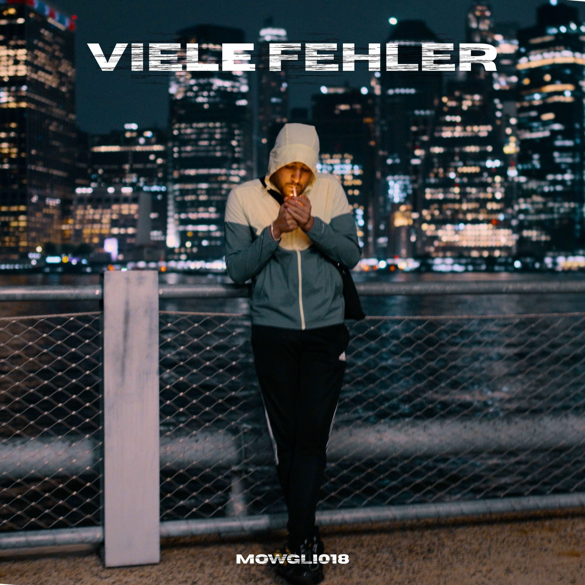 Album cover of Viele Fehler