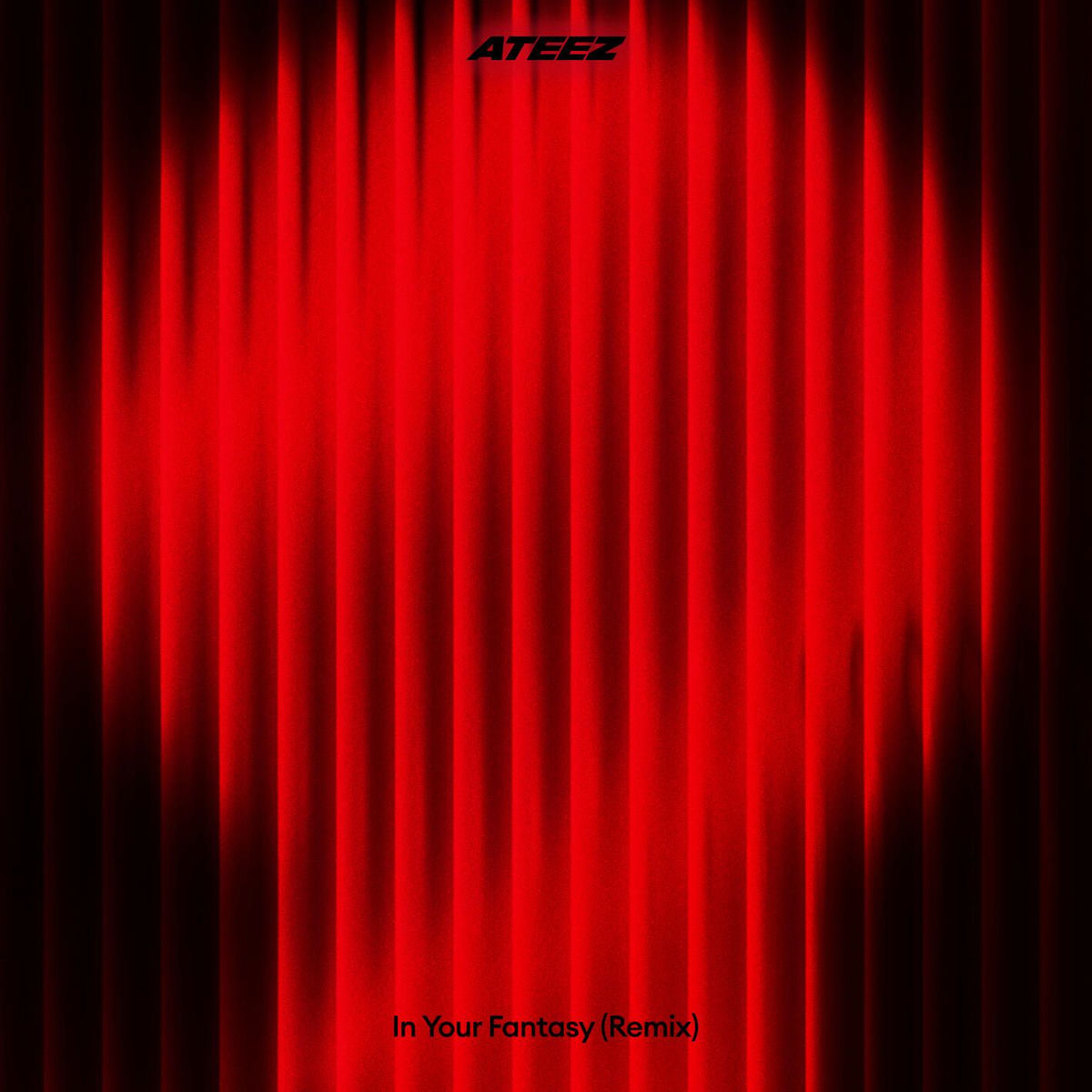 Album cover of In Your Fantasy (Remix)