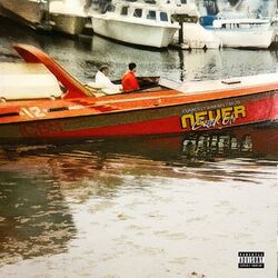 Cover of Never Catch Us