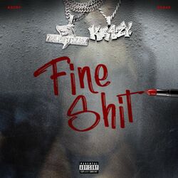 Cover of Fine Shit